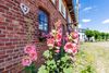 Ostsee Bauernhof Schwalbennest OFC 15