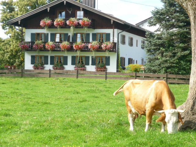Gästehaus Kordes-Zellermair - Ferienwohnung B Ferienwohnung in den Alpen