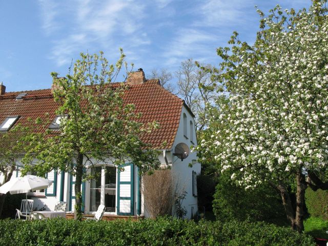 Altes Haus der Seefahrtsschule Grünbaum Ferienwohnung  Fischland Darß Zingst
