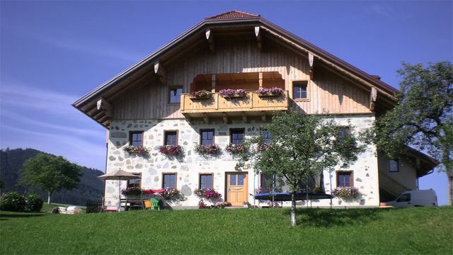 Ferienhof Mayrhofer - Ferienwohnung Wiesengrü