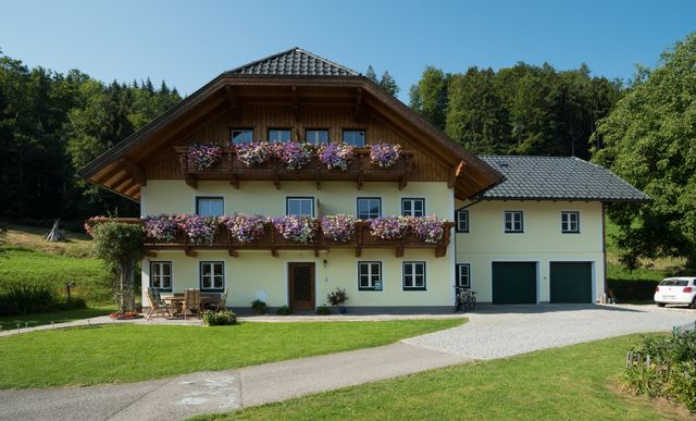 Haus Kendlinger - Apartment mit Küchenzeile Ferienwohnung  Salzburger Land