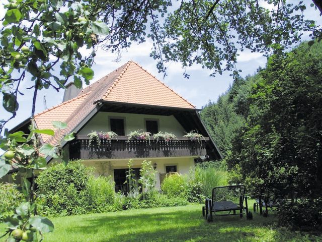 Haus Brigitte - Hintere Mühle - Ferienwohnung Ferienwohnung 