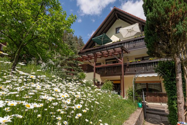 Haus Wiesenttal - Ferienwohnung 3 Ferienwohnung  FrÃ¤nkische Schweiz