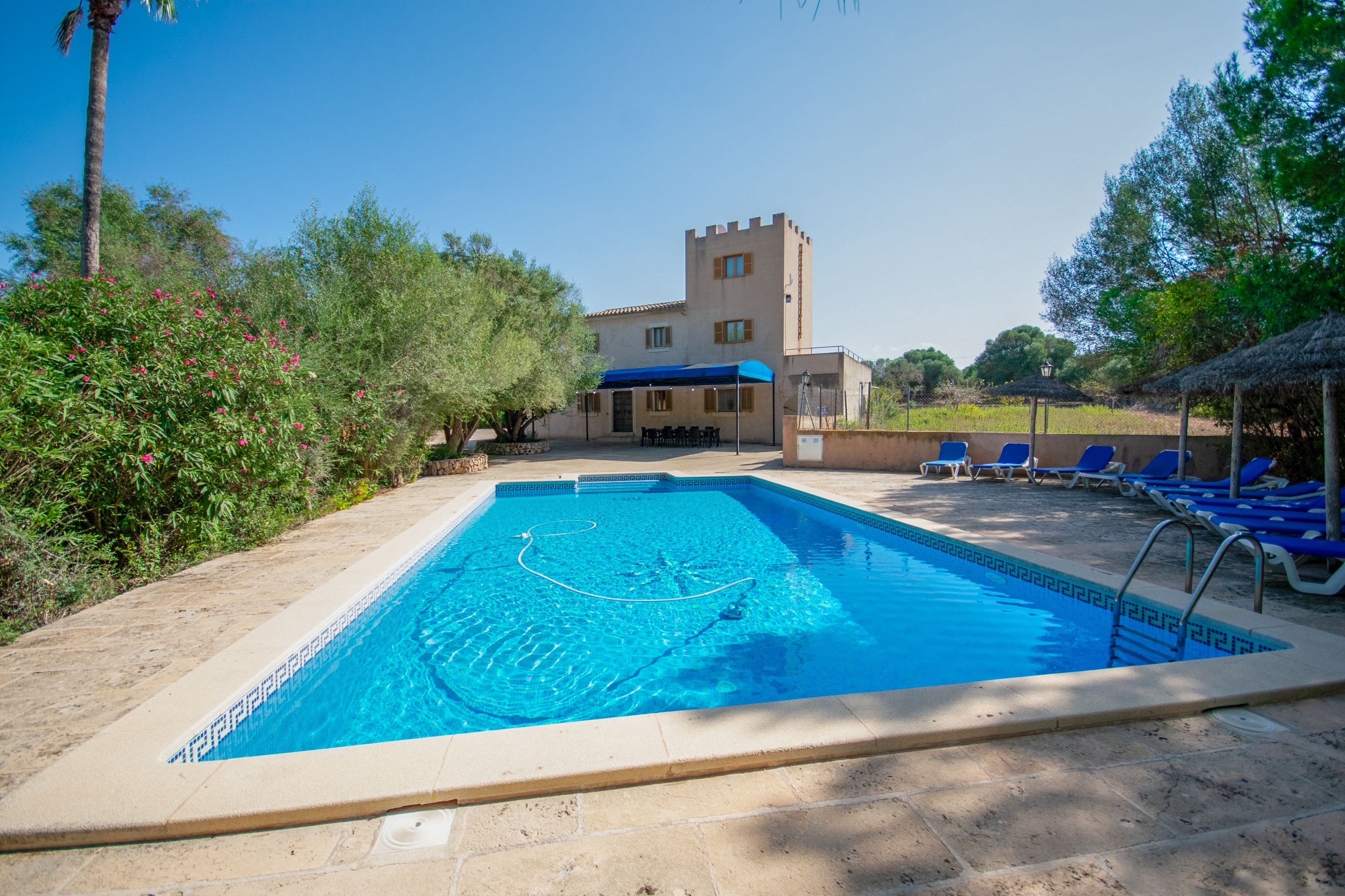 44349 - Can Palea – Bild 4