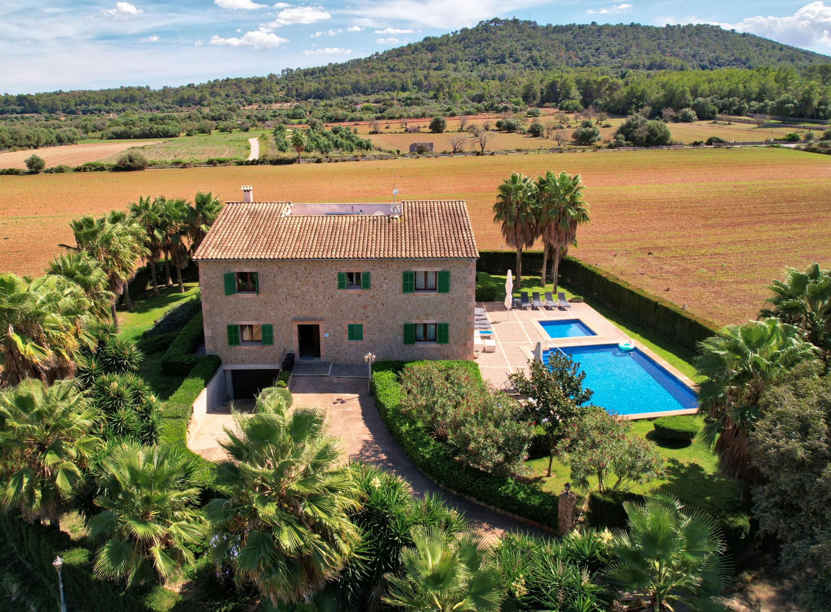 44206 - El Palmeral – Ferienhaus in Petra