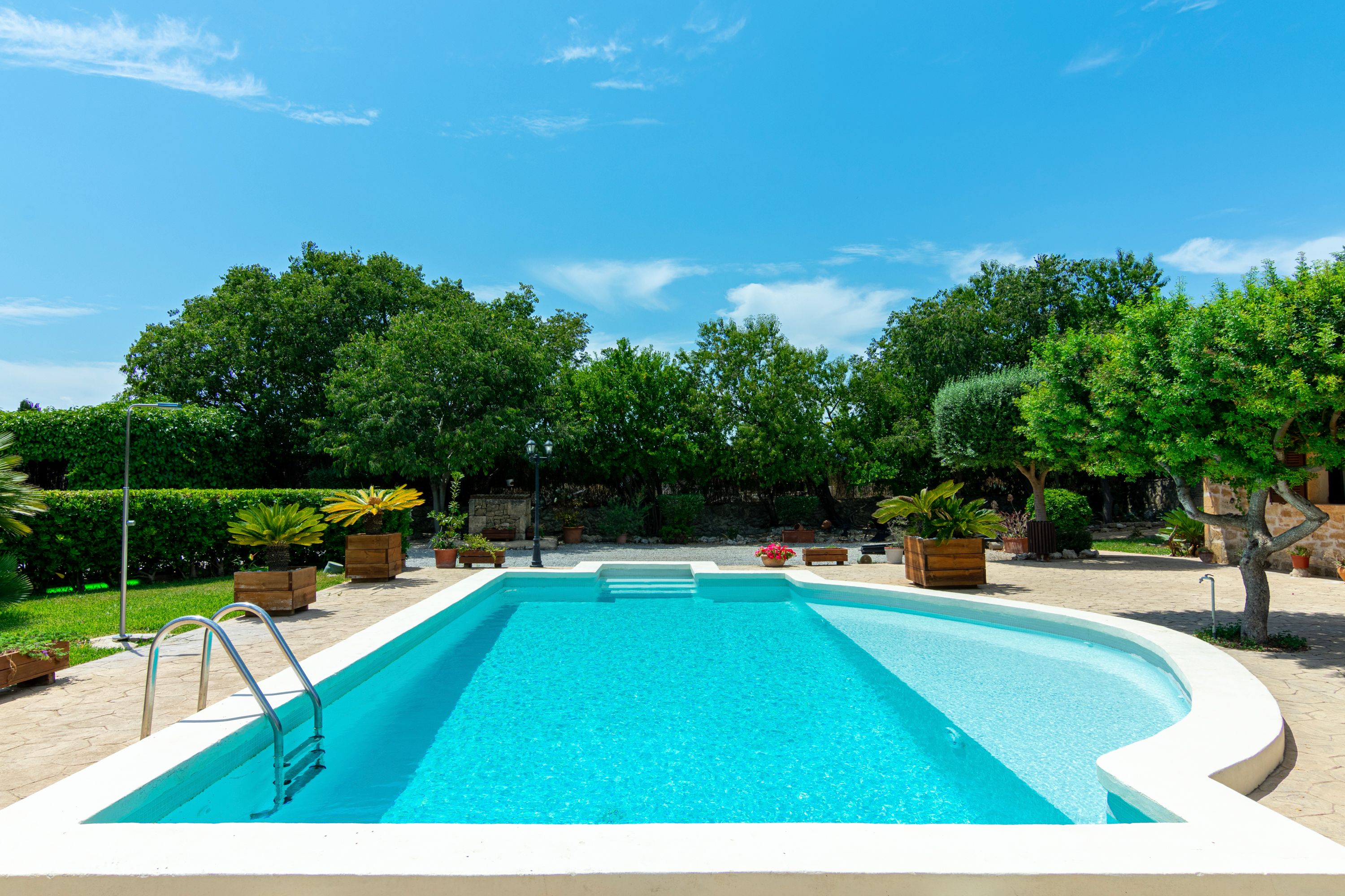 44502 - Finca Carbonell – Bild 5
