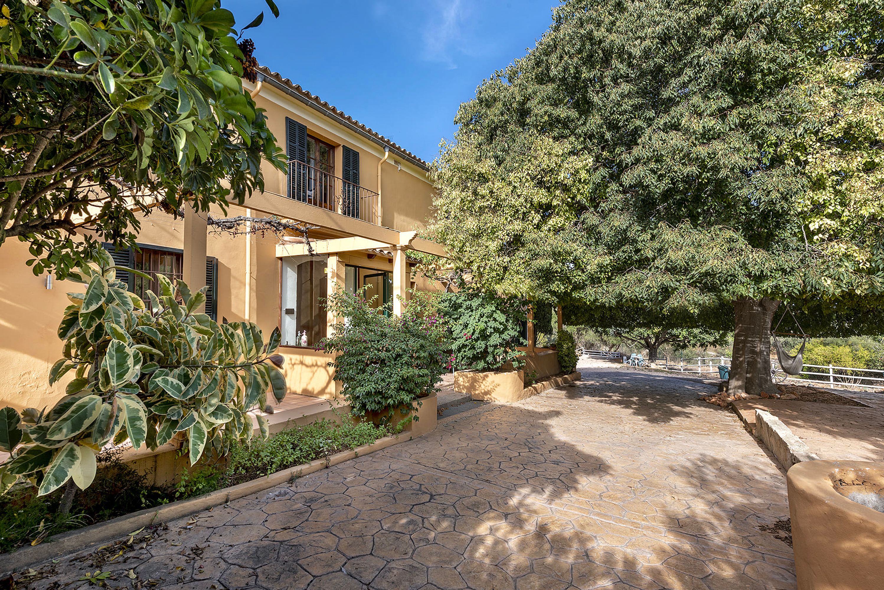 44422 - Nice Mallorca – Ferienhaus in Palma de Mallorca