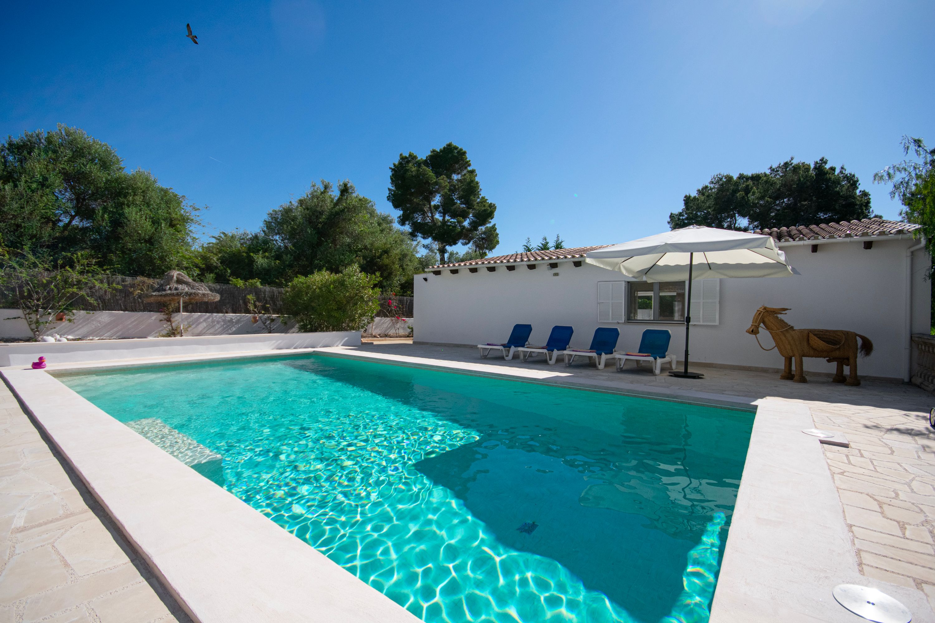 44407 - Casita Las Palmeras – Bild 4