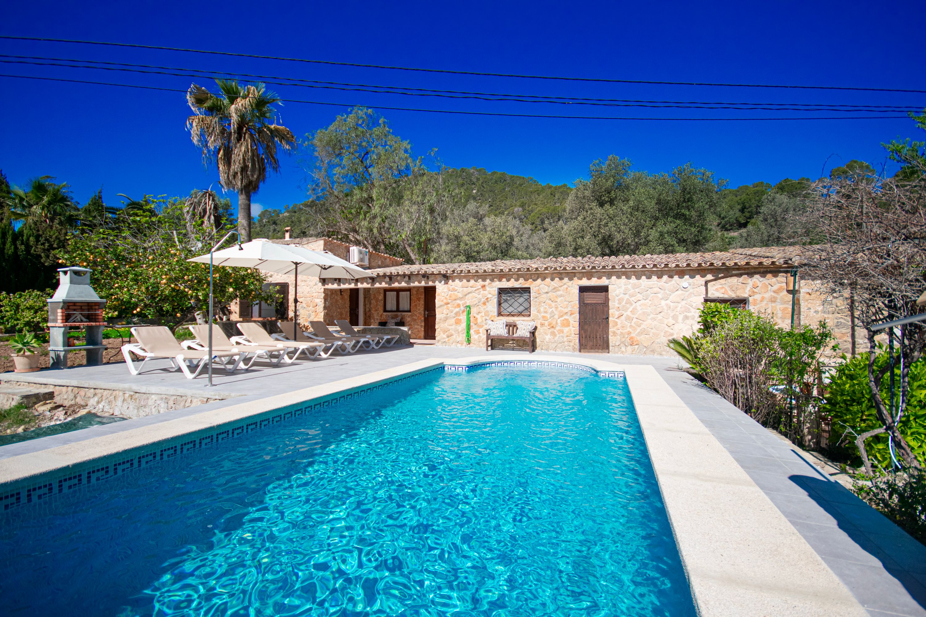 44425 - Casa Margarita – Ferienhaus in Andratx, Mallorca