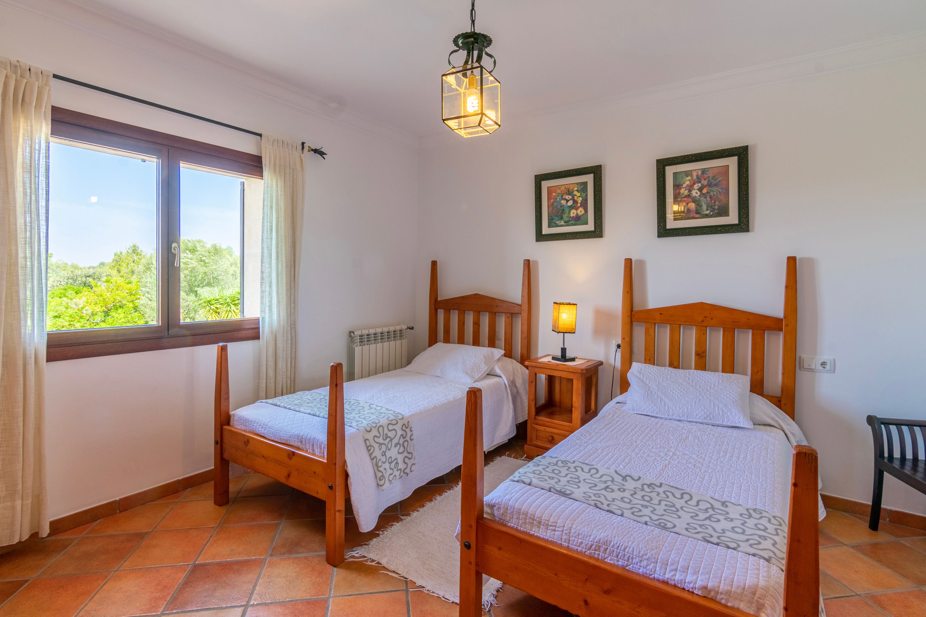44508 - Finca Sanchez – Bild 5